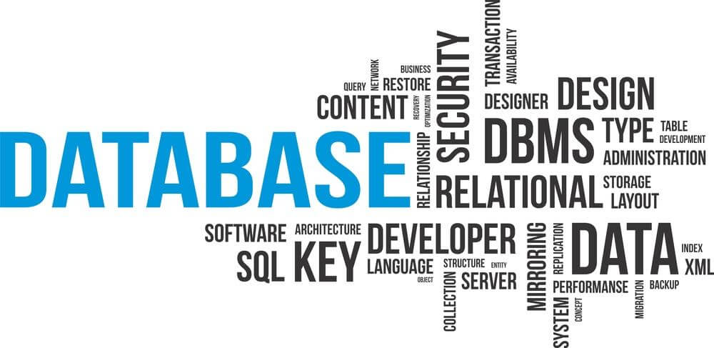 Database Management System